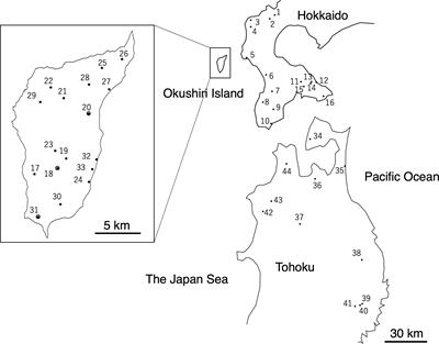 Possible northern persistence of Siebold’s beech, Fagus crenata, at its northernmost distribution limit on an island in Japan Sea: Okushiri Island, Hokkaido